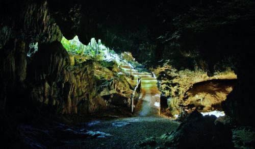 Underworld Tour Playa del Carmen