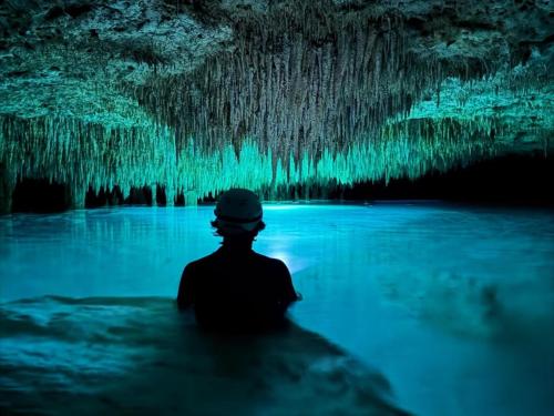 One-Jungle-Adventures-Riviera-Maya-13