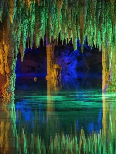 One-Jungle-Adventures-Riviera-Maya-3
