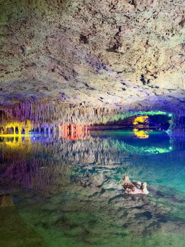 One-Jungle-Adventures-Riviera-Maya-50