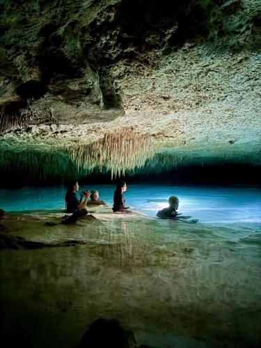 One-Jungle-Adventures-Riviera-Maya-63