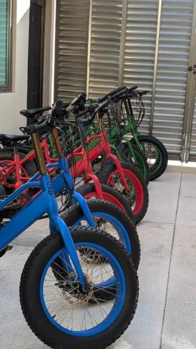 eBike Tour Playa del Carmen